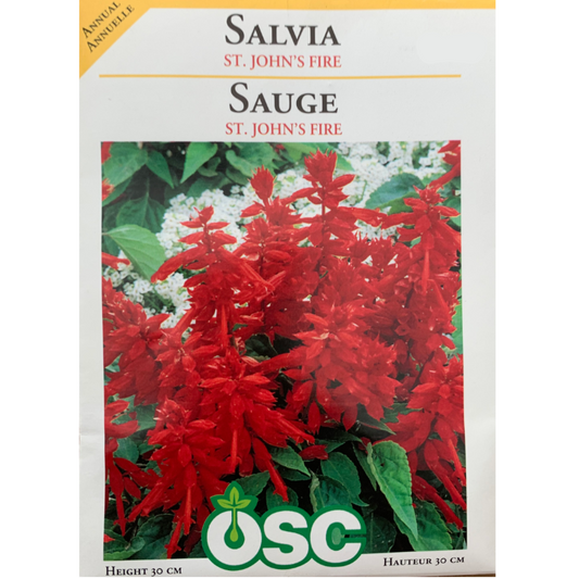 OSC Seeds Salvia St. John's Fire Pkg.