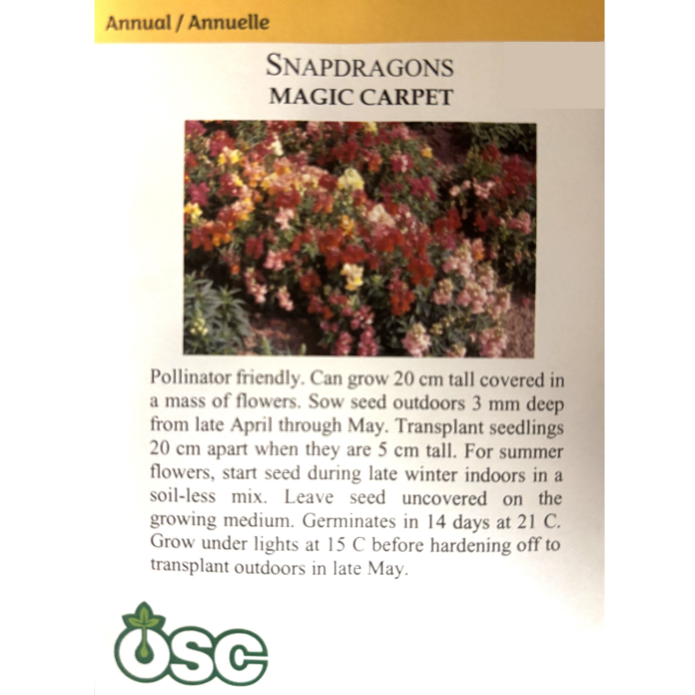 OSC Seeds Snapdragon Magic Carpet Dwarf Pkg.