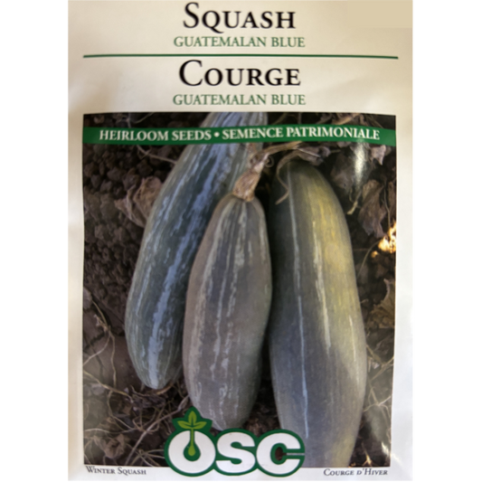 OSC Seeds Squash Guatamalen Blue Pkg.