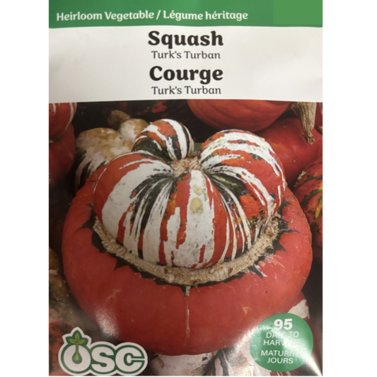 OSC Seeds Squash Turk's Turban Pkg.