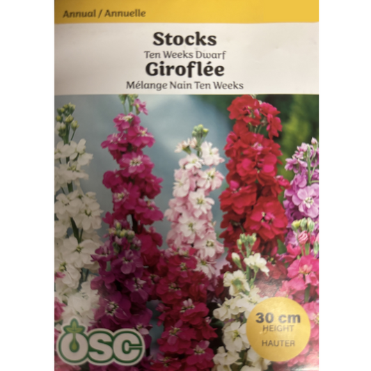 OSC Seeds Stocks Ten Weeks Dwarf Pkg.