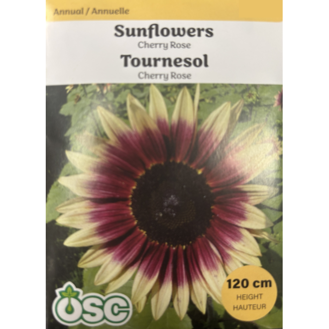 OSC Seeds Sunflower Cherry Rose Pkg.