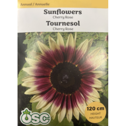 OSC Seeds Sunflower Cherry Rose Pkg.