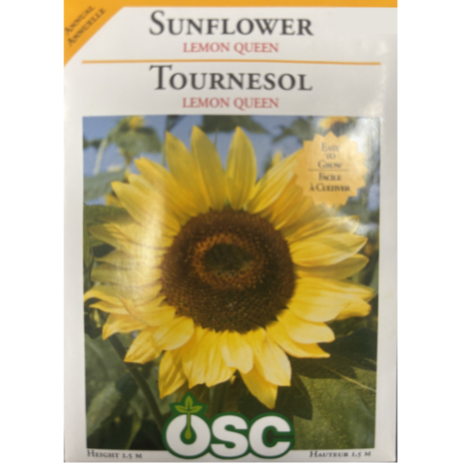 OSC Seeds Sunflower Lemon Queen Pkg.