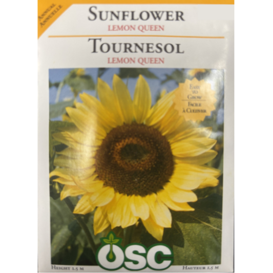 OSC Seeds Sunflower Lemon Queen Pkg.