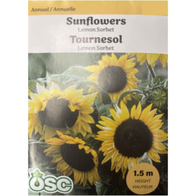 OSC Seeds Sunflower Lemon Sorbet Pkg.