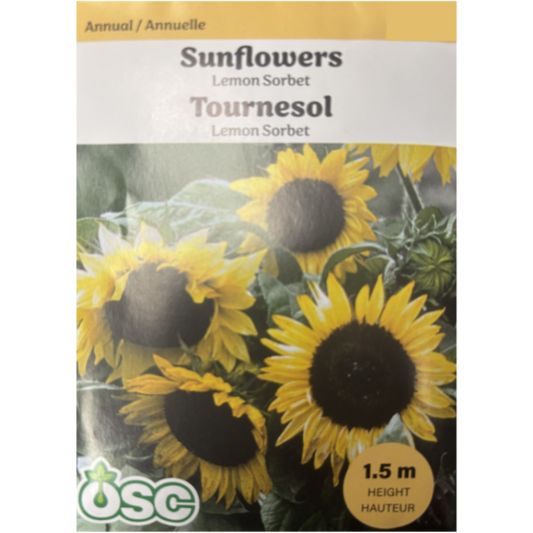 OSC Seeds Sunflower Lemon Sorbet Pkg.