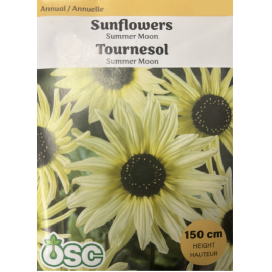 OSC Seeds Sunflower Summer Moon Pkg.