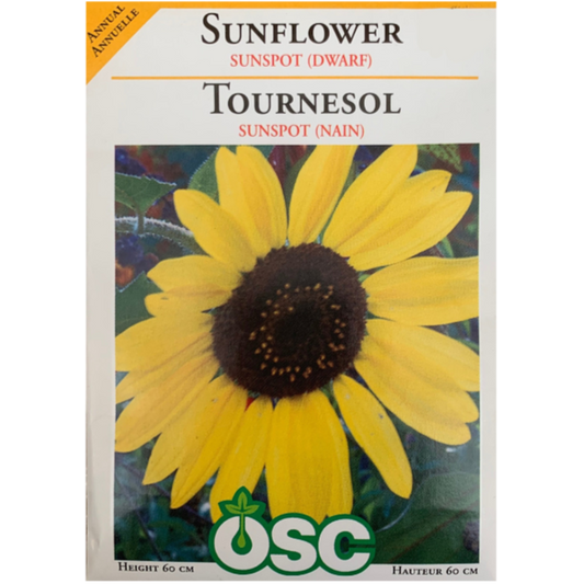 OSC Seeds Sunflower Sunspot Dwarf Pkg.