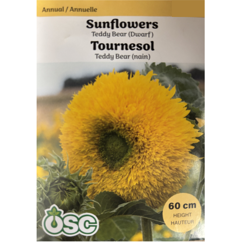 OSC Seeds Sunflower Teddy Bear Dwarf Pkg.