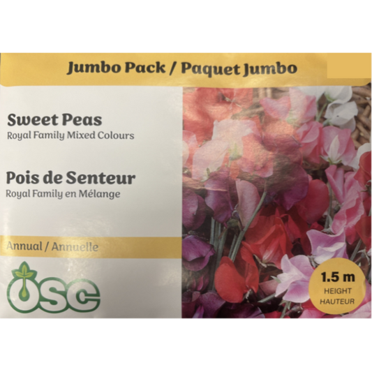 OSC Seeds Sweet Pea Royal Family Mixed Colours Jumbo Pkg.