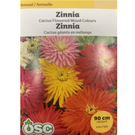 OSC Seeds Zinnia Cactus Flowered Mixed Colours Pkg.