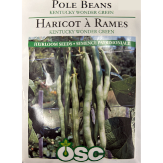 OSC Seeds Beans Pole Kentucky Wonder Green