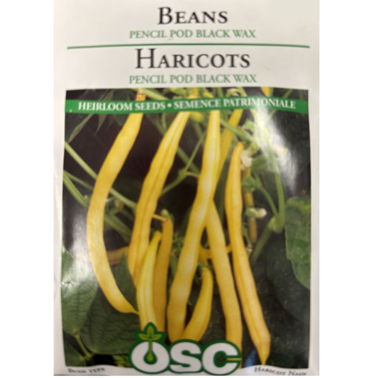 OSC Seeds Beans Pencil Pod Black Wax