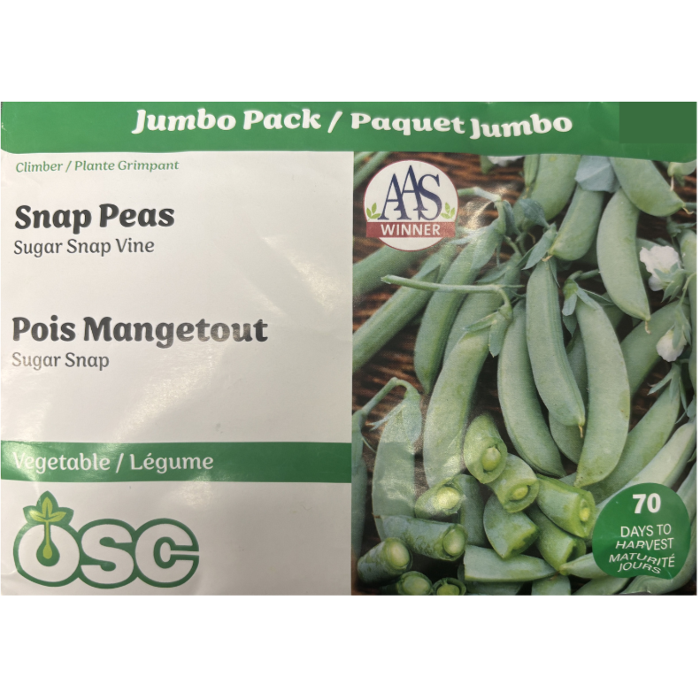 OSC Seeds Pea Snap Sugar Vine