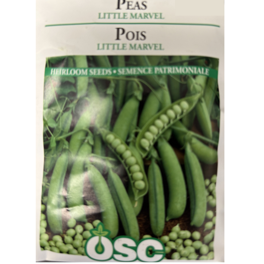 OSC Seeds Pea Little Marvel