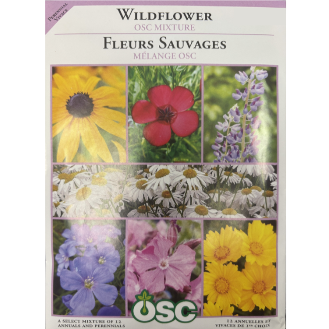 OSC Seeds Mix Wildflower