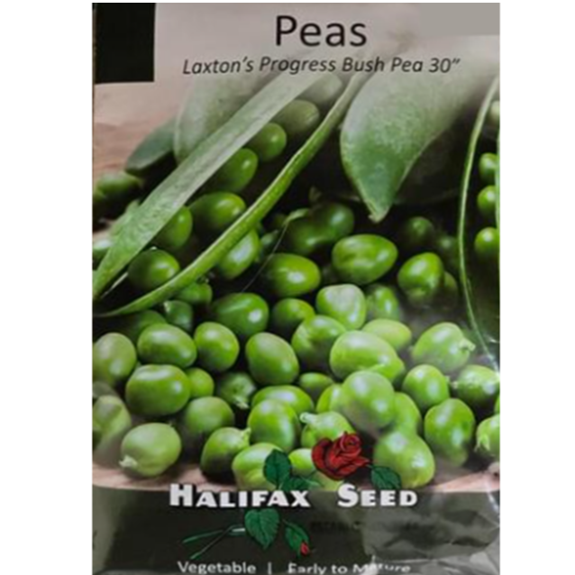 Halifax Seed Pea Laxton's Progress Bush