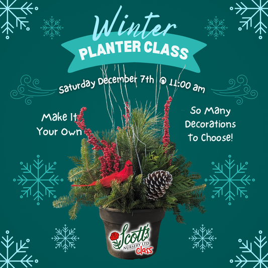 Winter Planters Workshop