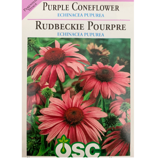 OSC Seeds Coneflower Purple Echinacea Pupurea Pkg.