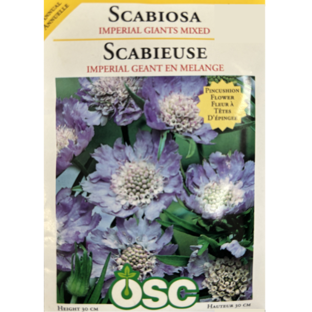 OSC Seeds Scabiosa Imperial Giants Mixed Pkg.