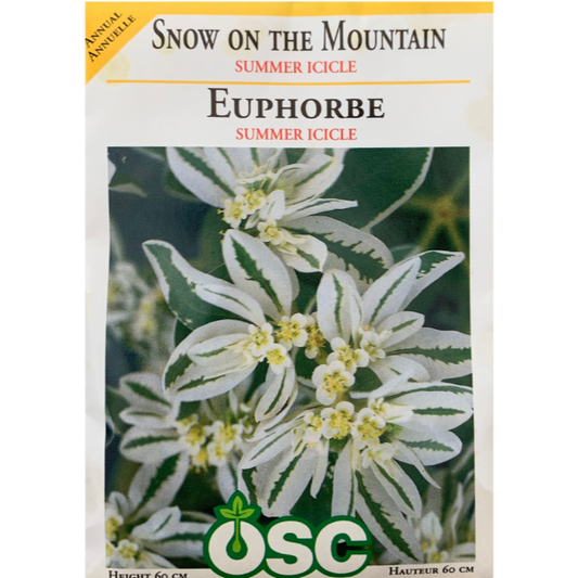 OSC Seeds Snow on the Mountain Summer Icicle Pkg.