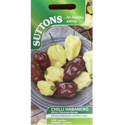 Suttons Seed Chilli Habanero Pkg.