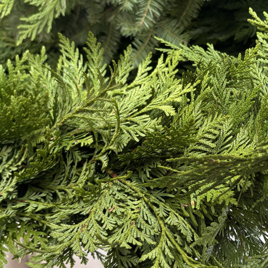 Fresh Cedar Local Bundle