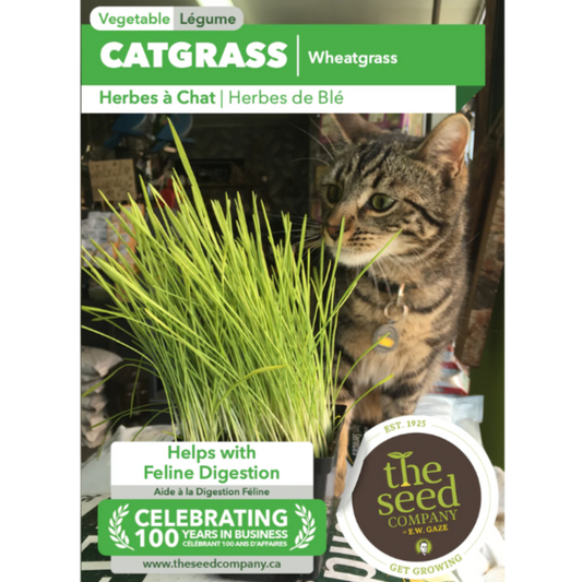 The Seed Company Cat Grass Wheatgrass Pkg.