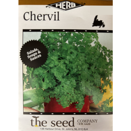 The Seed Company Chervil Pkg.