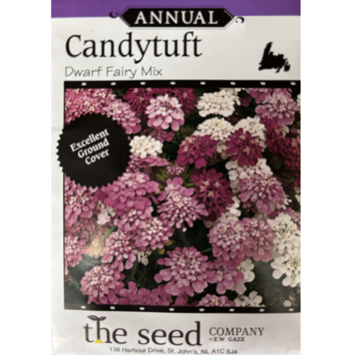 The Seed Company Candytuft Dwarf Fairy Mix Pkg.