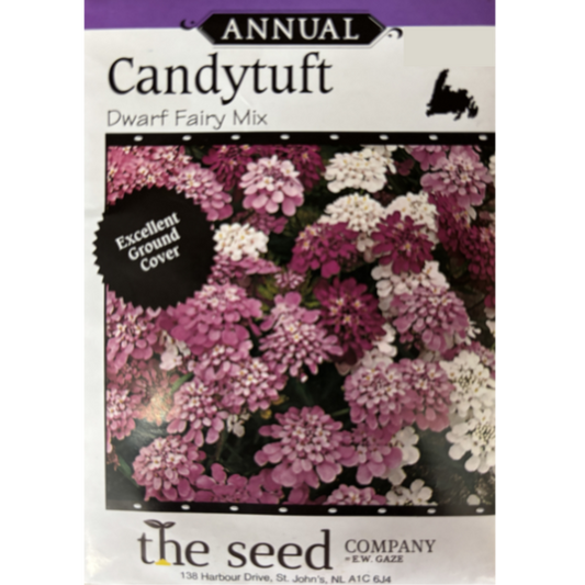 The Seed Company Candytuft Dwarf Fairy Mix Pkg.