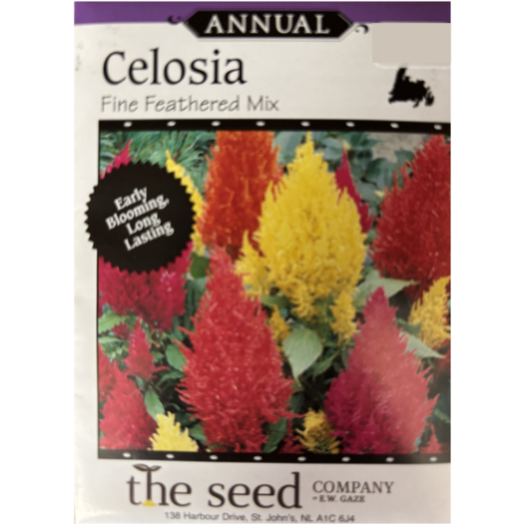 The Seed Company Celosia Fine Feathered Mix Pkg.