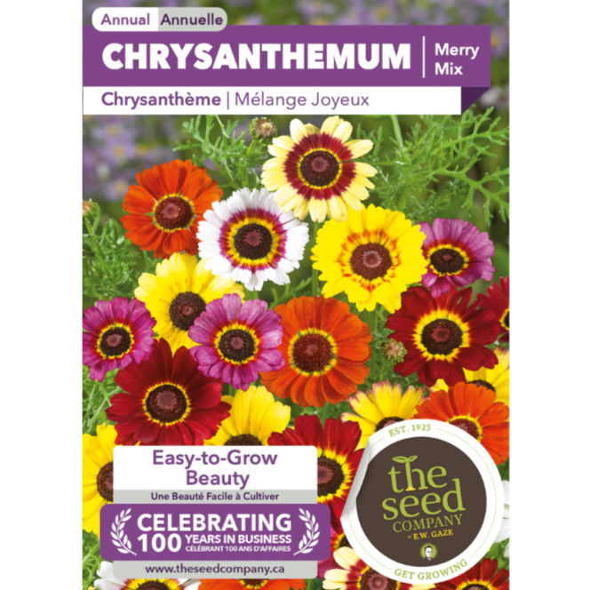 The Seed Company Chrysanthemum Merry Mix Pkg.