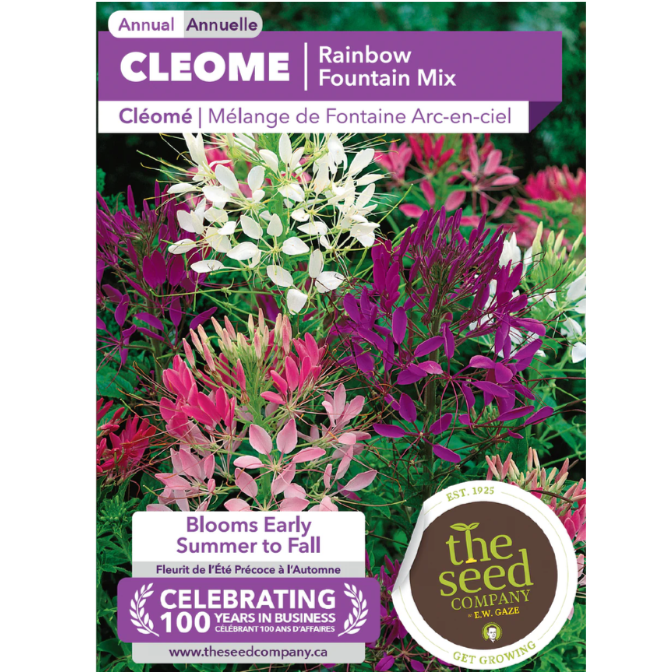 The Seed Company Cleome Rainbow Fountain Mix Pkg.