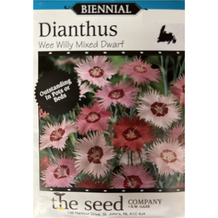 The Seed Company Dianthus Wee Willy Dwarf Mix Pkg.