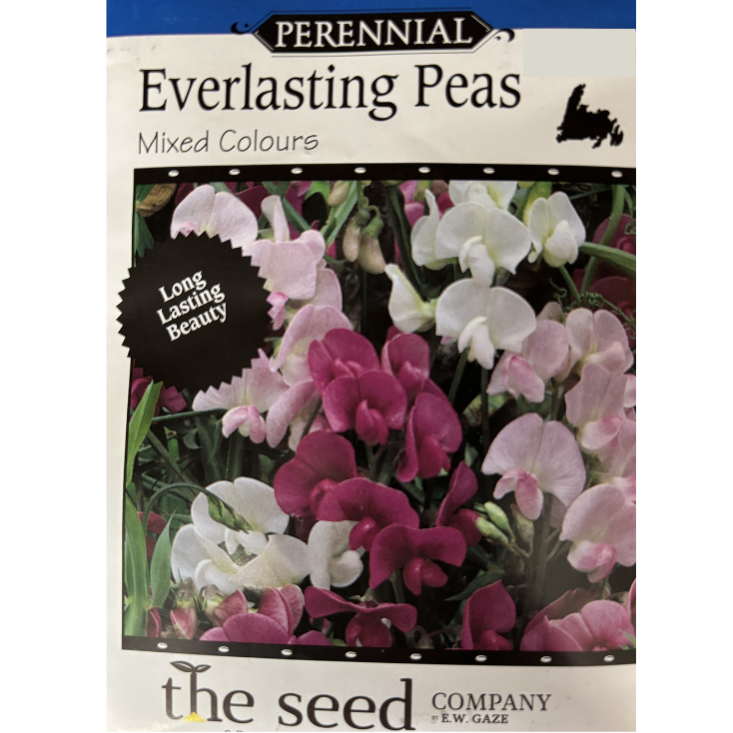 The Seed Company Sweet Pea Everlasting Mix Pkg.