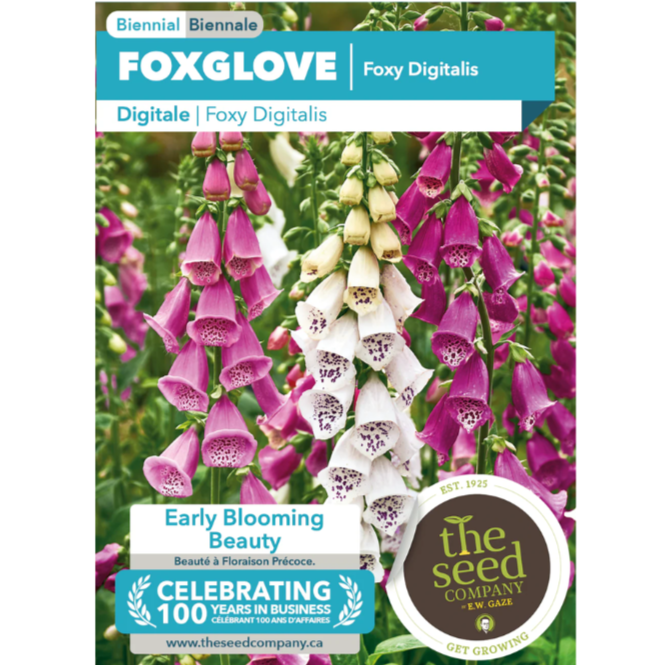 The Seed Company Foxglolve Foxy Digitalis Pkg.