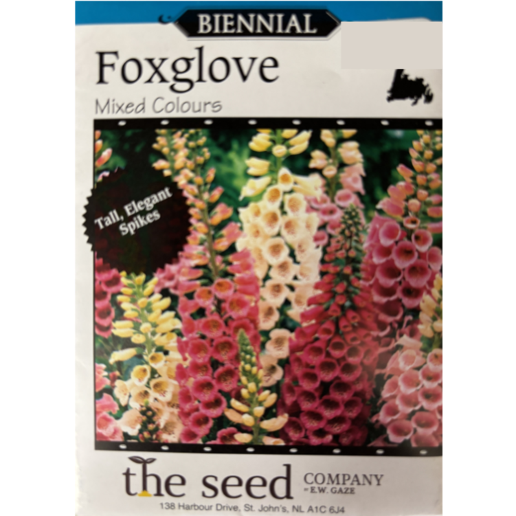 The Seed Company Foxglove Mixed Colours Pkg.