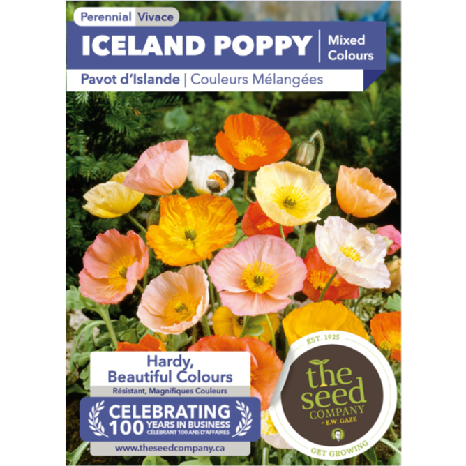 The Seed Company Poppy Iceland Mixed Colours Pkg.