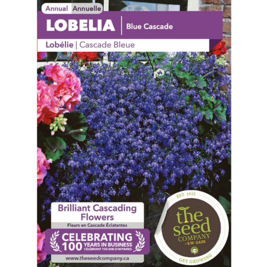 The Seed Company Lobelia Blue Cascade Pkg.