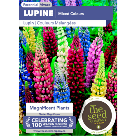 The Seed Company Lupine Mixed Colours Pkg.