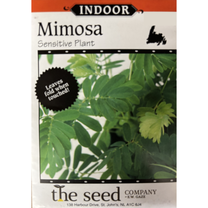 The Seed Company Mimosa Sensitive Plant Pkg.