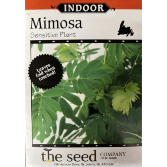 The Seed Company Mimosa Sensitive Plant Pkg.