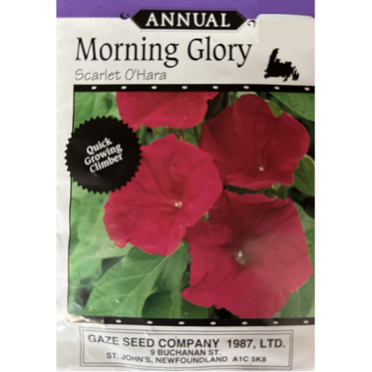 The Seed Company Morning Glory Scarlet O'Hara Pkg.