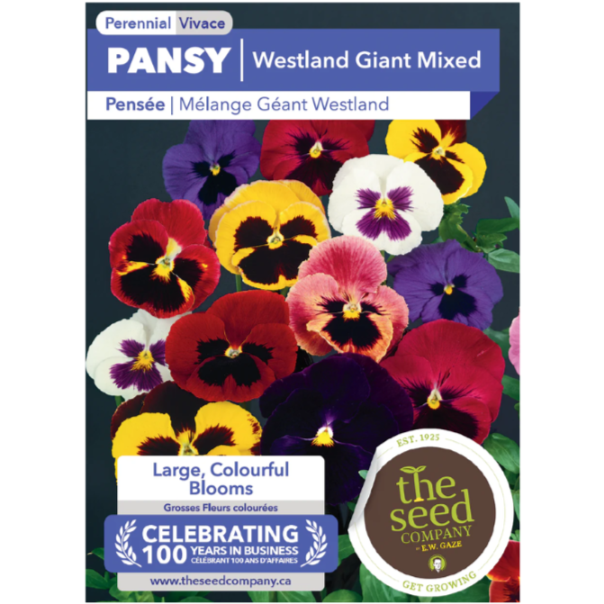 The Seed Company Pansy Westland Giant Mixed Pkg.