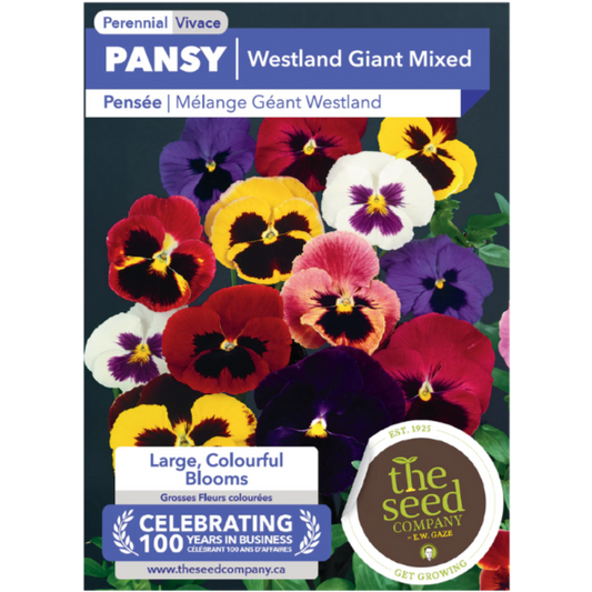 The Seed Company Pansy Westland Giant Mixed Pkg.