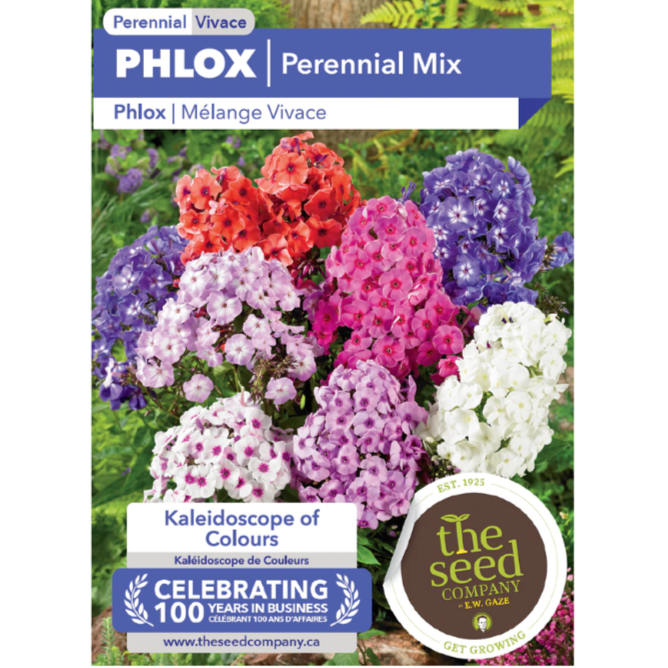 The Seed Company Phlox Perennial Mix Pkg.