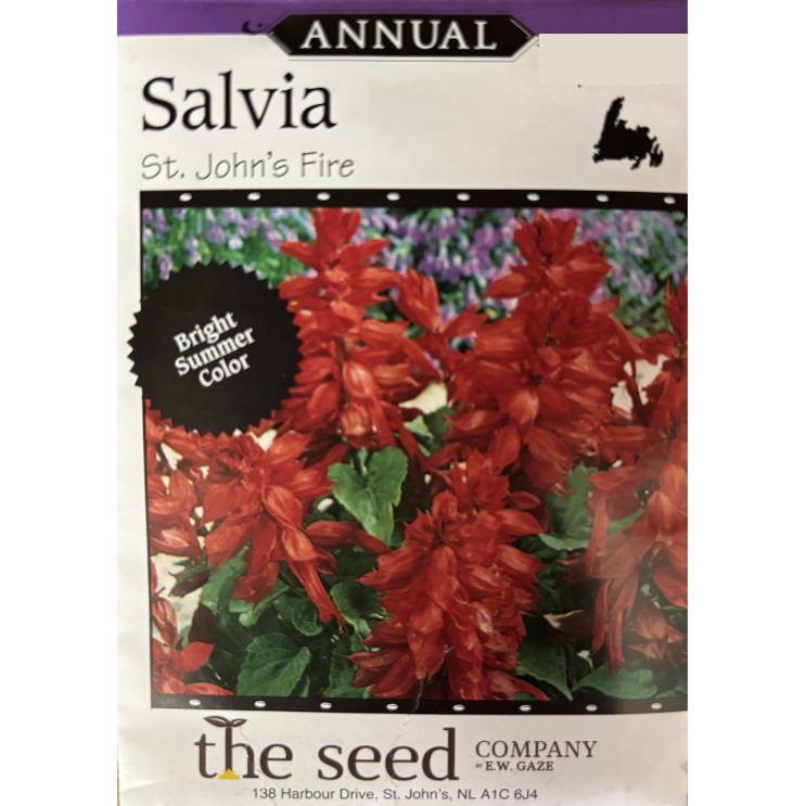 The Seed Company Salvia St. John's Fire Pkg.