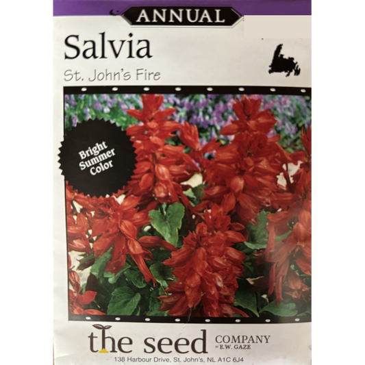 The Seed Company Salvia St. John's Fire Pkg.